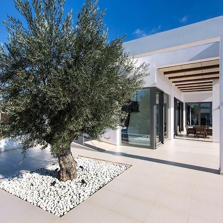 Leblanc Luxurious Beachfront Villa, Gcollectiongr แอร์มิโอนี ภายนอก รูปภาพ