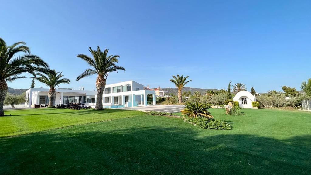 Leblanc Luxurious Beachfront Villa, Gcollectiongr แอร์มิโอนี ภายนอก รูปภาพ
