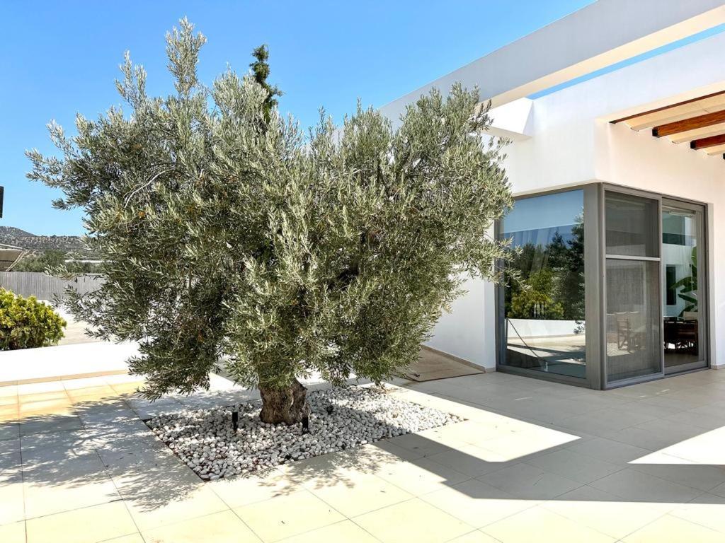 Leblanc Luxurious Beachfront Villa, Gcollectiongr แอร์มิโอนี ภายนอก รูปภาพ