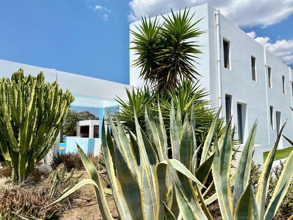 Leblanc Luxurious Beachfront Villa, Gcollectiongr แอร์มิโอนี ภายนอก รูปภาพ