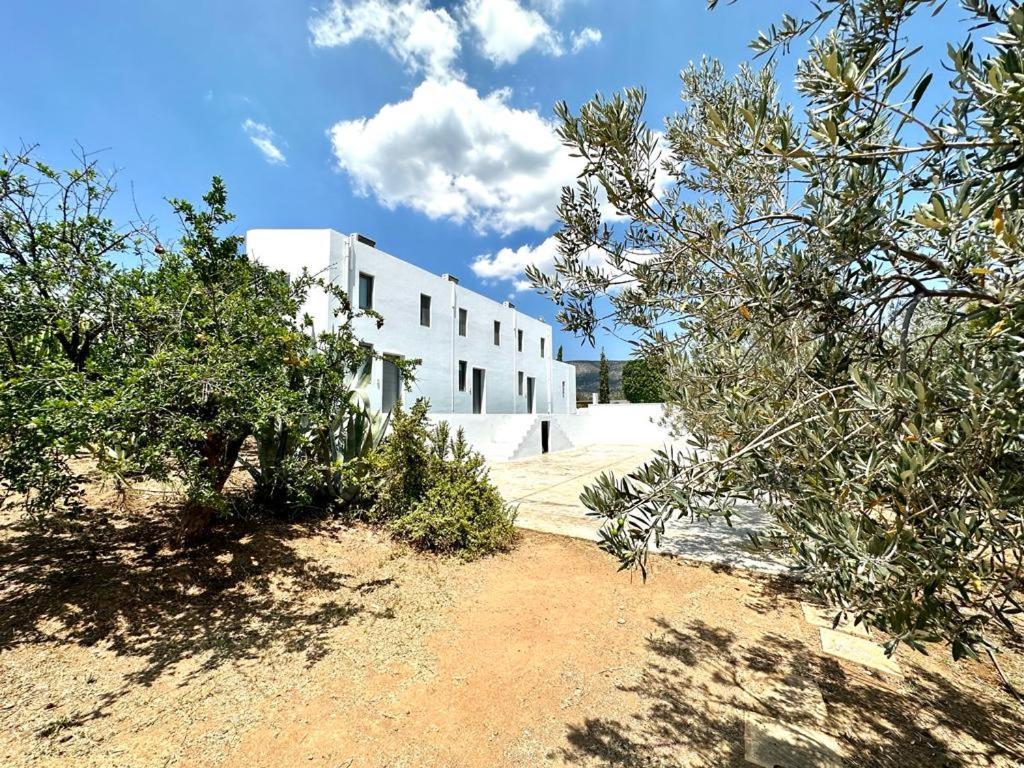 Leblanc Luxurious Beachfront Villa, Gcollectiongr แอร์มิโอนี ภายนอก รูปภาพ