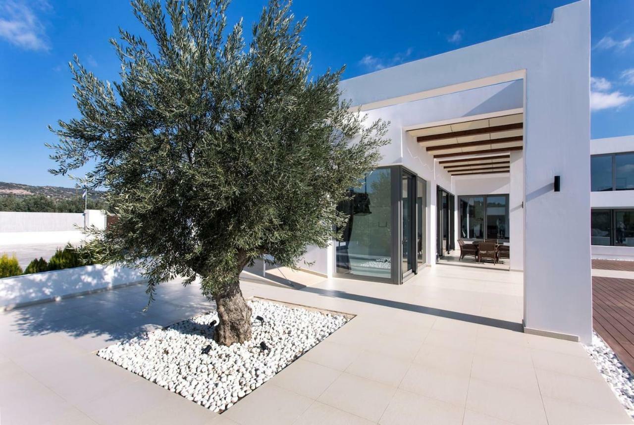 Leblanc Luxurious Beachfront Villa, Gcollectiongr แอร์มิโอนี ภายนอก รูปภาพ